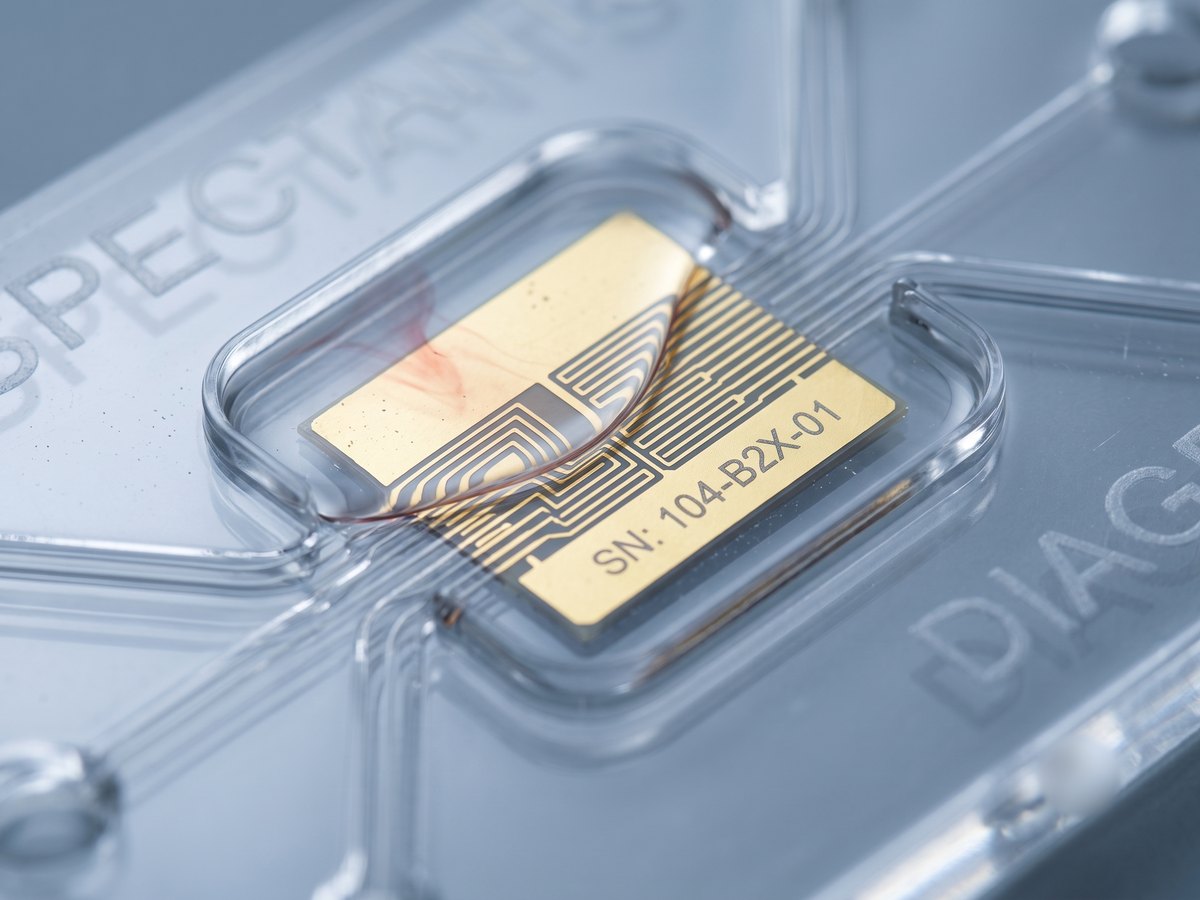 Macro of the cartridge biosensor chip with capillary blood wicking across the gold electrodes